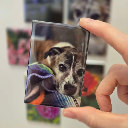 Custom Photo Magnet